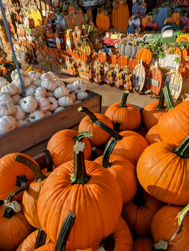 The Farm and Garden Station